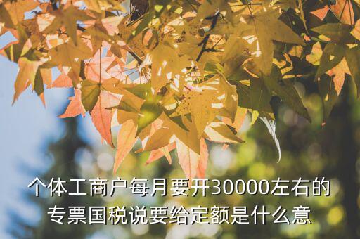 國稅定額是什么意思，個體工商戶每月要開30000左右的專票國稅說要給定額是什么意