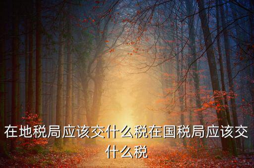 在地稅局應(yīng)該交什么稅在國稅局應(yīng)該交什么稅