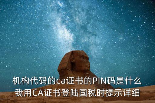 機構(gòu)代碼的ca證書的PIN碼是什么我用CA證書登陸國稅時提示詳細