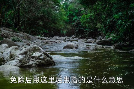 免除后患這里后患指的是什么意思