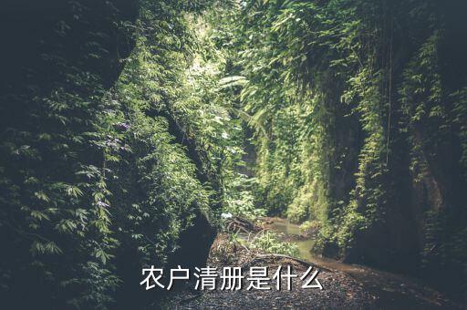 辦稅事項(xiàng)清冊(cè)是什么，會(huì)計(jì)檔案移交清冊(cè)什么意思