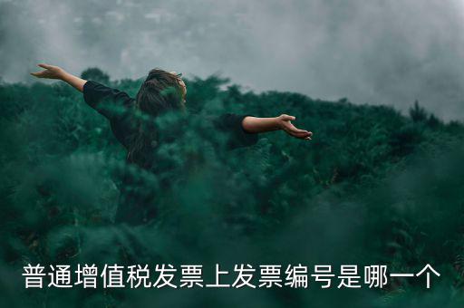 增值稅編號是什么，普通增值稅發(fā)票上發(fā)票編號是哪一個