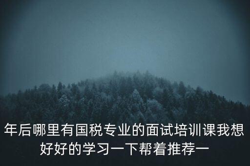 年后哪里有國(guó)稅專業(yè)的面試培訓(xùn)課我想好好的學(xué)習(xí)一下幫著推薦一