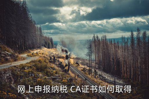 網(wǎng)上申報納稅 CA證書如何取得