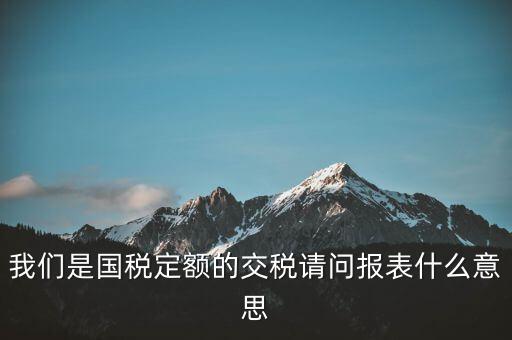 我們是國(guó)稅定額的交稅請(qǐng)問報(bào)表什么意思