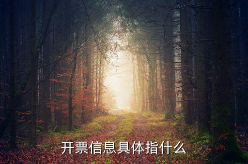 什么是開(kāi)票信息，word開(kāi)票信息是什么意思