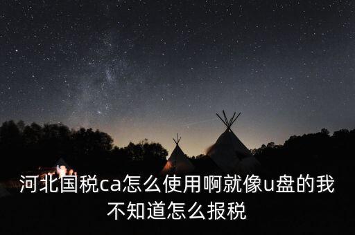 河北國(guó)稅ca怎么使用啊就像u盤的我不知道怎么報(bào)稅