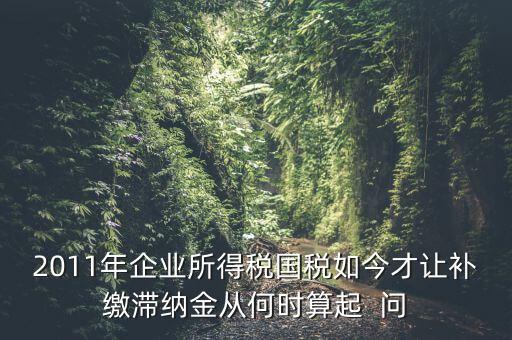 納稅滯納金什么時(shí)候算，企業(yè)所得稅滯納金計(jì)算從何時(shí)開始計(jì)算