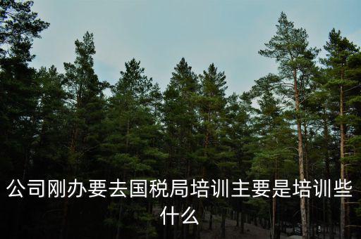 公司剛辦要去國稅局培訓(xùn)主要是培訓(xùn)些什么