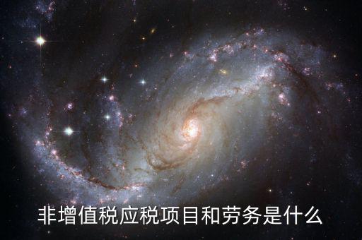 非增值稅應稅項目和勞務是什么