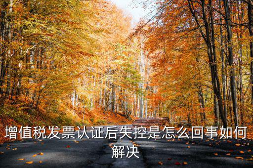 增值稅發(fā)票認(rèn)證后失控是怎么回事如何解決