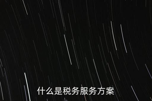 什么是稅務服務方案