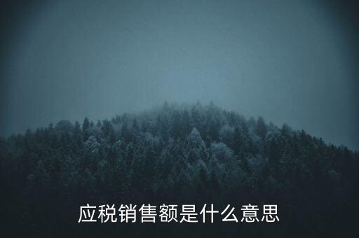 應(yīng)稅銷售額是什么意思