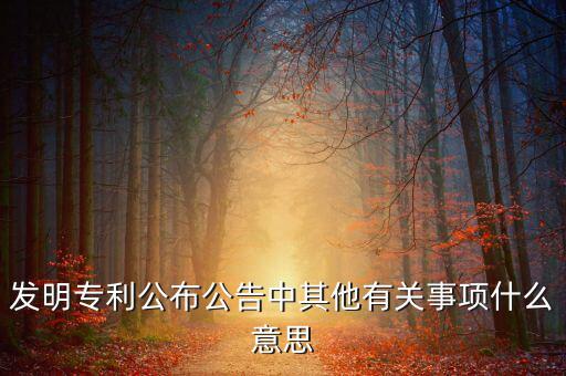 發(fā)明專利公布公告中其他有關(guān)事項(xiàng)什么意思