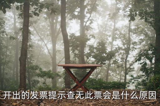 開(kāi)出的發(fā)票提示查無(wú)此票會(huì)是什么原因