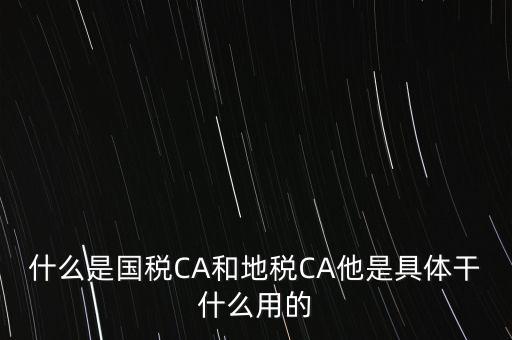 什么是國稅CA和地稅CA他是具體干什么用的