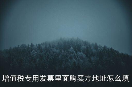 增值稅專(zhuān)用發(fā)票里面購(gòu)買(mǎi)方地址怎么填