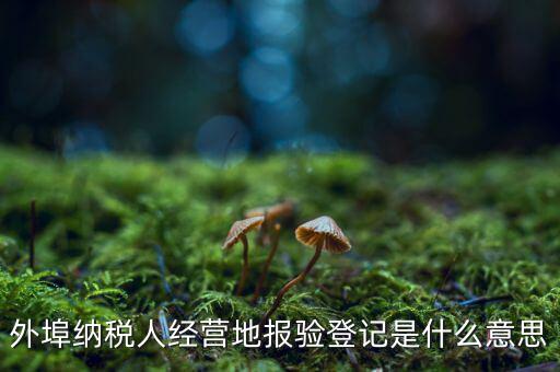 外埠納稅人經(jīng)營地報(bào)驗(yàn)登記是什么意思