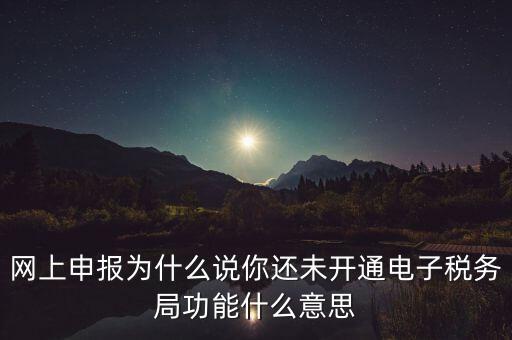 電子稅務(wù)局是干什么，企業(yè)金稅盤系統(tǒng)用來(lái)開票抄稅報(bào)稅用那登錄國(guó)稅地稅局網(wǎng)站是干嘛的