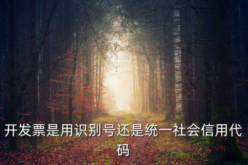 發(fā)票填寫統(tǒng)一社會(huì)代碼是什么，開發(fā)票要的稅號(hào)是統(tǒng)一社會(huì)代碼證號(hào)嗎