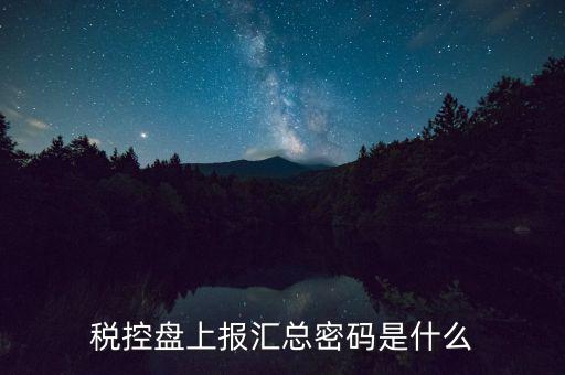 稅控盤上報匯總密碼是什么