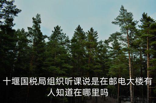 十堰國稅六辦指什么地方，十堰國稅局組織聽課說是在郵電大樓有人知道在哪里嗎