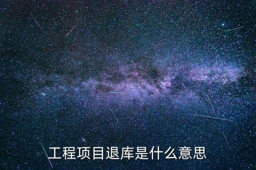 電子退庫是什么意思，工程項目退庫是什么意思