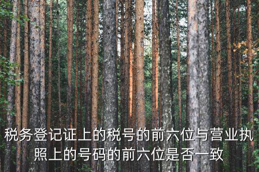 稅務登記證上的稅號的前六位與營業(yè)執(zhí)照上的號碼的前六位是否一致