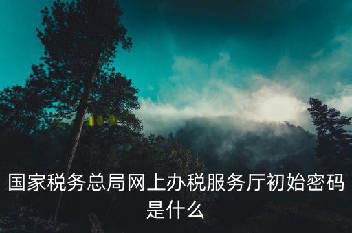 國(guó)家稅務(wù)總局網(wǎng)上辦稅服務(wù)廳初始密碼是什么