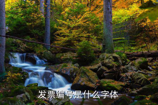 發(fā)票上的號(hào)碼是什么字體，發(fā)票編號(hào)是什么字體