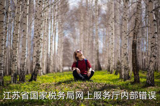 江蘇省國家稅務局網(wǎng)上服務廳內(nèi)部錯誤