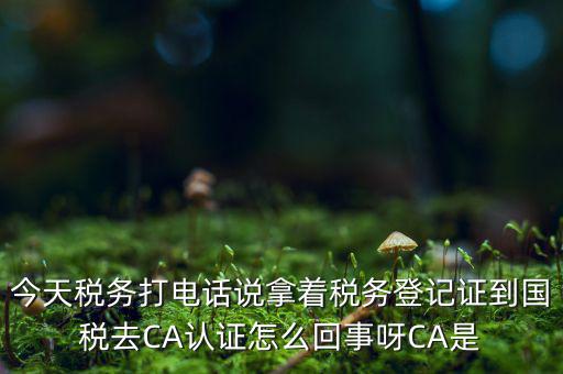 稅務(wù)局ca證書是什么，今天稅務(wù)打電話說拿著稅務(wù)登記證到國稅去CA認(rèn)證怎么回事呀CA是