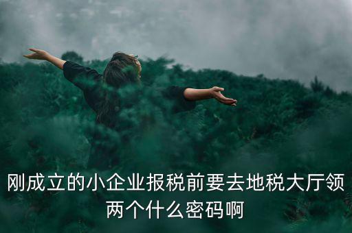 剛成立的小企業(yè)報稅前要去地稅大廳領(lǐng)兩個什么密碼啊