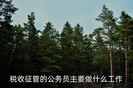 稅收管理員干什么的，稅收征管的公務(wù)員主要做什么工作