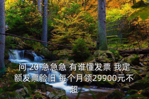 問 20 急急急 有誰懂發(fā)票 我定額發(fā)票驗(yàn)舊 每個月領(lǐng)29900元不超