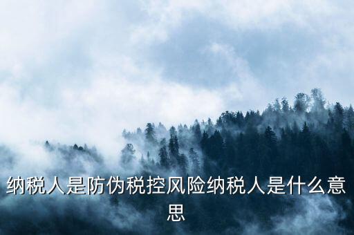 納稅人是防偽稅控風(fēng)險納稅人是什么意思