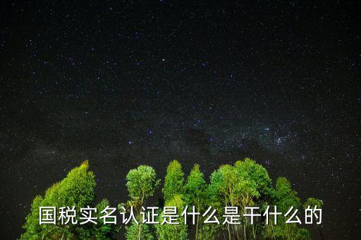 國稅實名制認證要什么手續(xù)，國稅實名認證是什么是干什么的