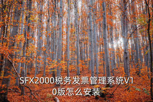 SFX2000稅務(wù)發(fā)票管理系統(tǒng)V10版怎么安裝