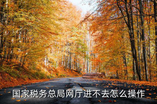 國家稅務總局網(wǎng)廳進不去怎么操作