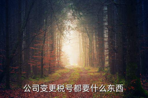 公司變更稅號都要什么東西