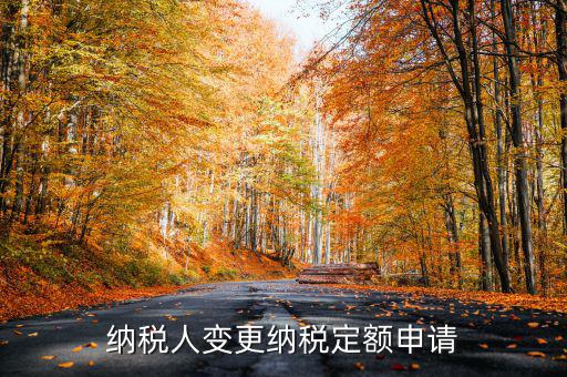 變更納稅定額什么意思，調(diào)整應(yīng)納稅所得額什么意思