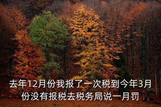 去年12月份我報(bào)了一次稅到今年3月份沒(méi)有報(bào)稅去稅務(wù)局說(shuō)一月罰