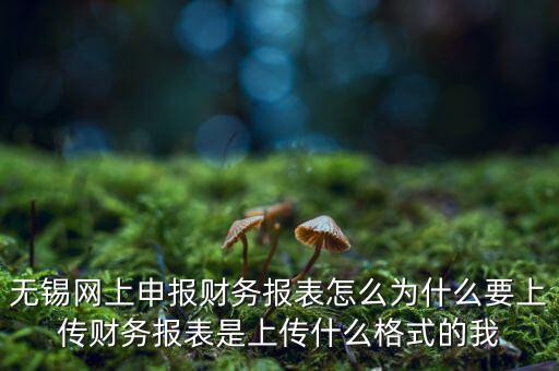 為什么要上傳報表，無錫網(wǎng)上申報財務(wù)報表怎么為什么要上傳財務(wù)報表是上傳什么格式