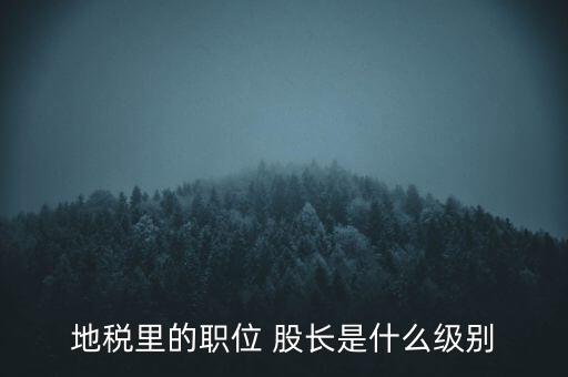 地稅里的職位 股長是什么級別