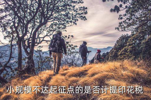 小規(guī)模不達(dá)起征點(diǎn)的是否計(jì)提印花稅