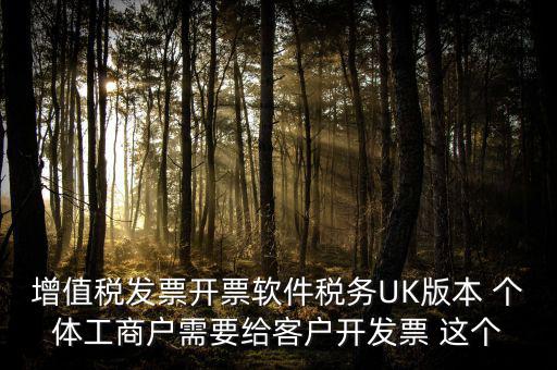 增值稅發(fā)票開票軟件稅務(wù)UK版本 個體工商戶需要給客戶開發(fā)票 這個