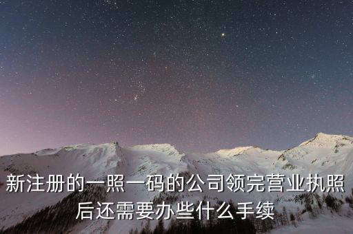 廣東一照一碼采集完應(yīng)該做什么，領(lǐng)取一照一碼后地稅申報要注意什么