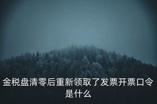 金稅盤口令是什么，金稅盤密碼口令忘記已試個(gè)6次還能試嗎