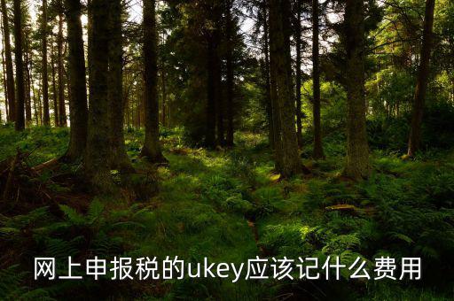 網(wǎng)上申報稅的ukey應(yīng)該記什么費用