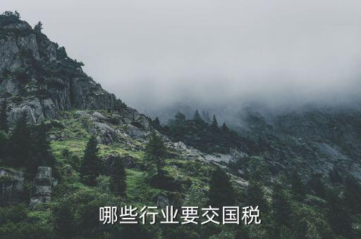 什么企業(yè)要交國稅，哪些行業(yè)交國稅哪些行業(yè)都交